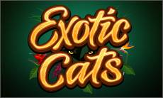 Exotic Cats - Golden Slot