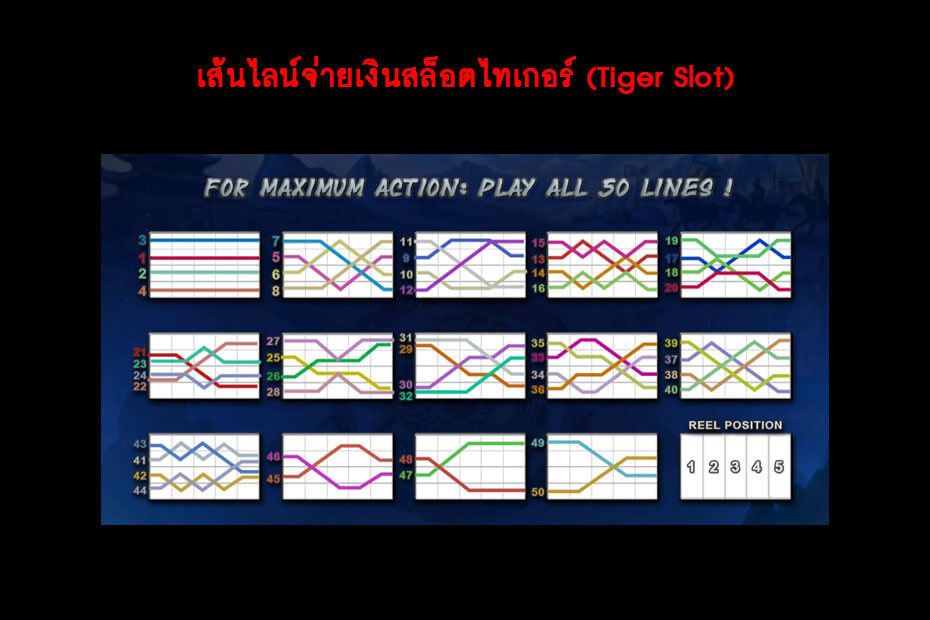 เส้นไลน์ (Lines) ของเกมจีคลับสล็อตไทเกอร์ออนไลน์